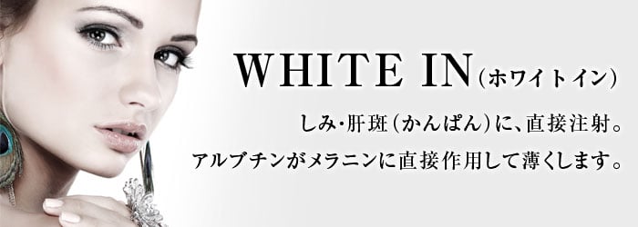 WHITE INizCgCj݁E̔iςjɒڒˁBAv`jɒڍpĔ܂B