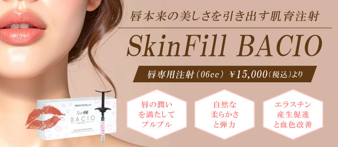 �O��p���璍�ˁu�X�L���t�B��BACIO�v