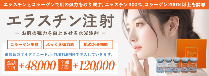 �G���X�`�����ˁiElastic Lab�j