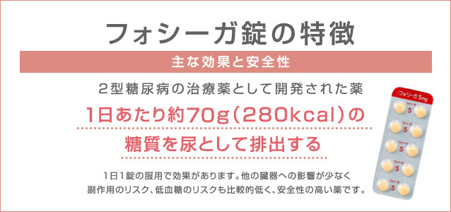 フォシーガ錠の特徴