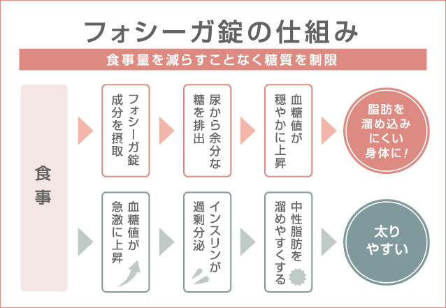 フォシーガ錠の仕組み