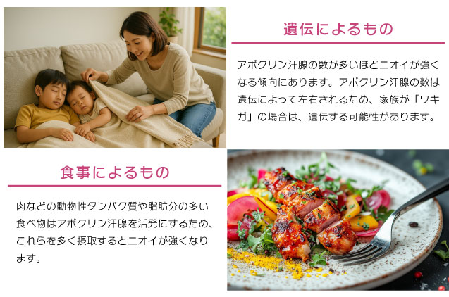 すそわきが・外陰部臭症の原因とは？