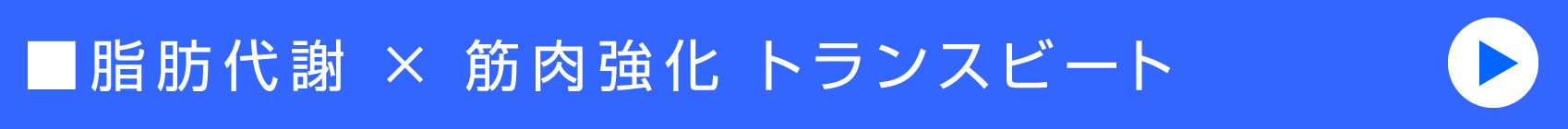 脂肪代謝 × 筋肉強化 トランスビート